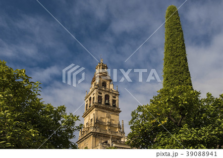 Spain, Andalusia,Cordoba, Minaret of Great Mosque of Córdoba behind trees 39088941
