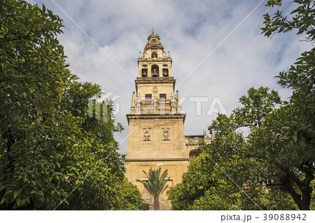 Spain, Andalusia, Cordoba, Minaret of Great Mosque of Córdoba behind trees 39088942