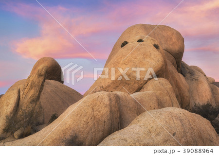 USA, California, Joshua Tree National Park, Rock formations at sunset 39088964