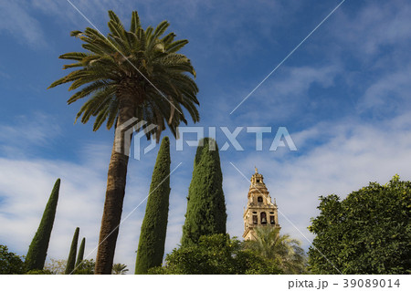 Spain, Andalusia,Cordoba, Minaret of Great Mosque of Córdoba behind trees Spain, Andalusia,Cordoba, Minaret of Great Mosque of Córdoba behind trees 39089014