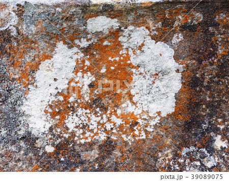 Australia, New South Wales, Abstract pattern on rock in Blue Mountains 39089075