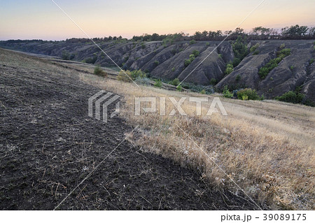 Ukraine, Dnepropetrovsk region, Novomoskovsk district, Landscape with ravine at dawn 39089175