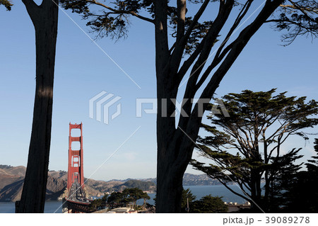 USA, California, San Francisco, Golden Gate Bridge seen among trees USA, California, San Francisco, Golden Gate Bridge seen among trees 39089278