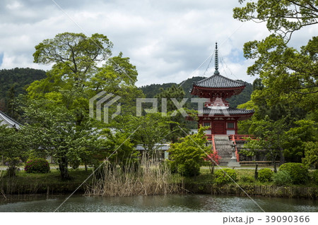 大覚寺大沢池の新緑 大覚寺大沢池の新緑 39090366