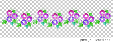 Background material _ morning glory (pink) 39091367