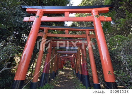 横須賀白赤稲荷神社の鳥居 横須賀白赤稲荷神社の鳥居 39091538