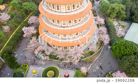 景色 風景 花 39092208