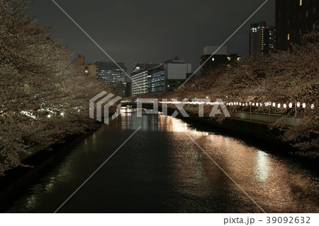 深川の夜桜 39092632