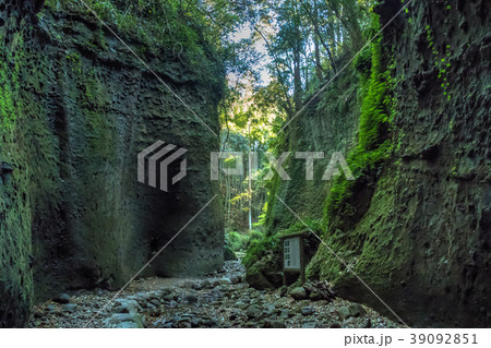 伊尾木洞 神秘的でまるでもののけ姫空間 伊尾木洞 神秘的でまるでもののけ姫空間 39092851