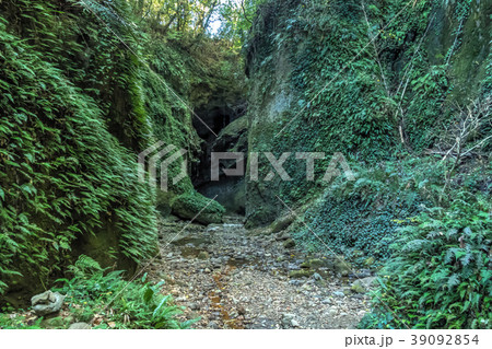 伊尾木洞　神秘的でまるでもののけ姫空間 39092854