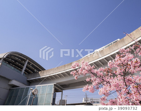 名古屋市東区　大曽根駅とカワヅザクラとゆとりーとライン 39093732