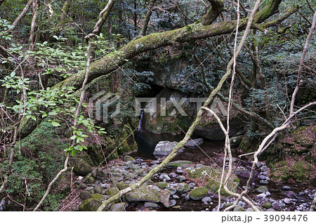 八谷溪谷 39094476