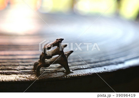 Three frogs on surface of ancient bronze drum. Three frogs on surface of ancient bronze drum. 39096419