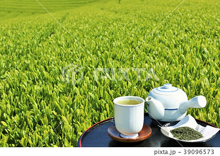 初夏の茶畑と新茶 初夏の茶畑と新茶 39096573