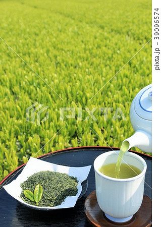 初夏の茶畑と淹れ立ての新茶 初夏の茶畑と淹れ立ての新茶 39096574