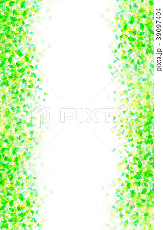 木漏れ日　葉　テクスチャー　背景素材 39097404