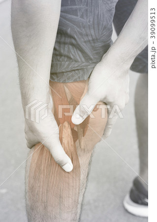 Knee muscle pain 39099513