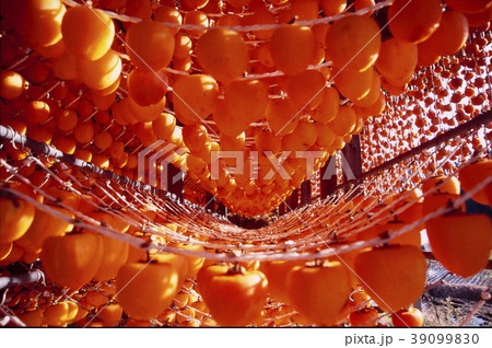 あんぽ柿 39099830