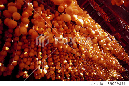 あんぽ柿 39099831