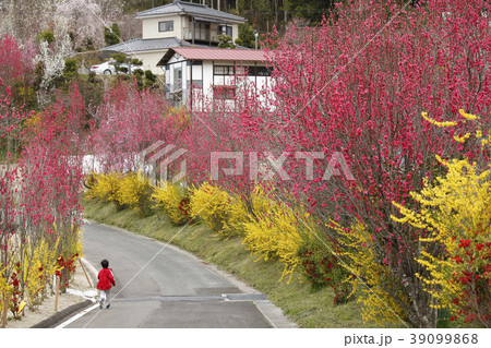 花やしき公園 福島市飯野町 花やしき公園 福島市飯野町 39099868