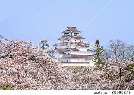 鶴ヶ城 桜 会津若松市の写真素材