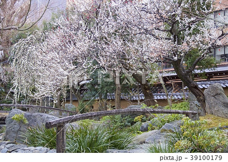 湯島神社 39100179