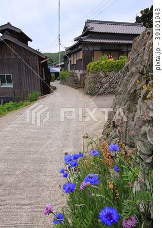 豊島 39101943