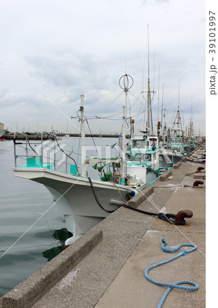 富浦漁港(南房総市) 39101997