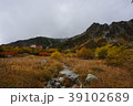 千畳敷カール 39102689