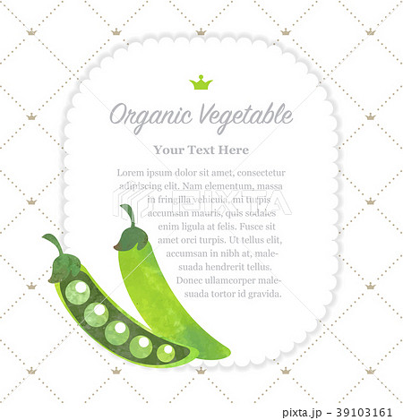 Colorful watercolor nature organic vegetable memo Colorful watercolor nature organic vegetable memo 39103161