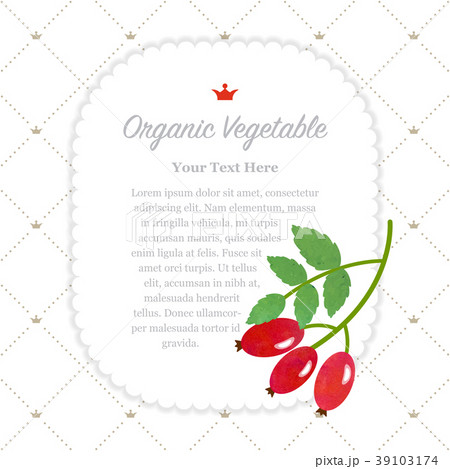 Colorful watercolor nature organic vegetable memo 39103174