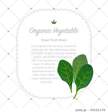 Colorful watercolor nature organic vegetable memo 39103176