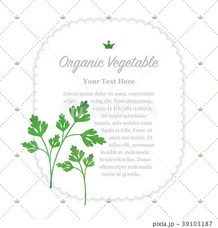 Colorful watercolor nature organic vegetable memo 39103187