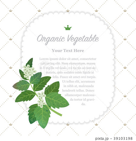 Colorful watercolor nature organic vegetable memo 39103198