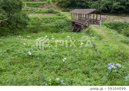 屋根のある橋と田んぼ2 39104099