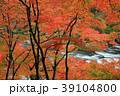 香嵐渓　紅葉 39104800