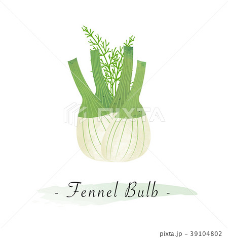 Colorful watercolor vector healthy vegetable 39104802