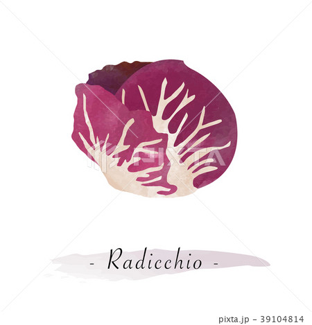 Colorful watercolor vector healthy vegetable 39104814