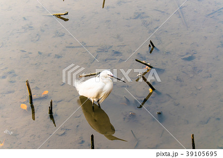 台湾 台北 台北市 39105695