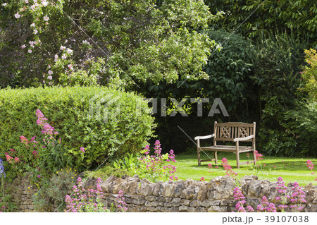 garden with cottage flowers and pink rosebush, 39107038