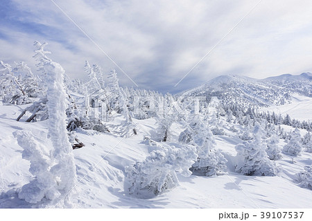 樹氷原と八甲田山 39107537