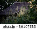 茅葺屋根とすすき 39107633