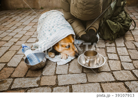 Social theme. A beggar beggar begging with a dog 39107913