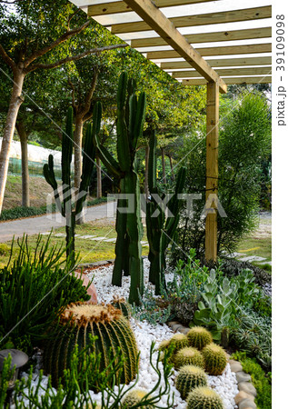 刺す プリック とげ 39109098