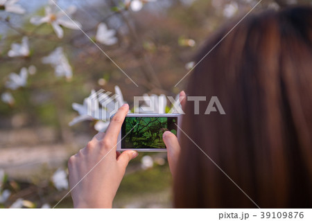 スマートフォン スマホ 花 39109876