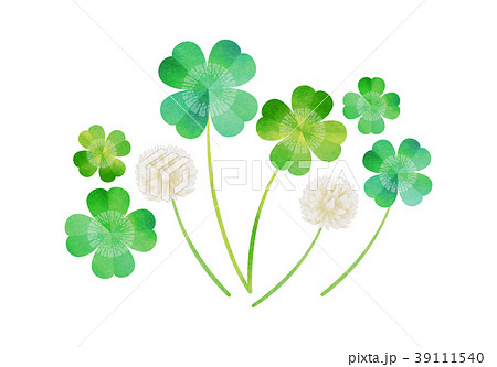 最新 シロツメクサ イラスト 手書き 2747 シロツメクサ イラスト 手書き Kabeirasutowzt70rtm