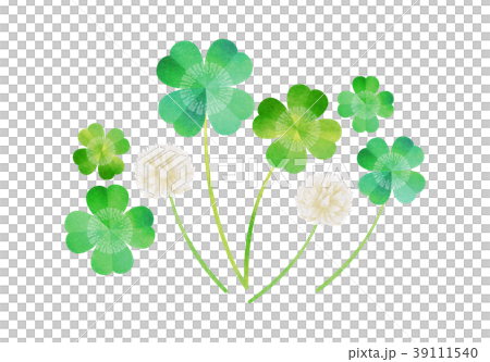 Clover  39111540