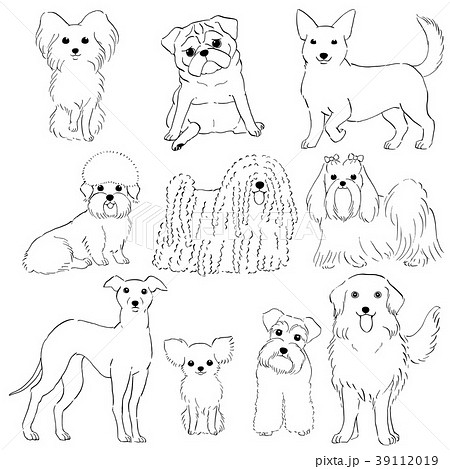小型犬の素材 手描き モノクロ 線画のイラスト素材