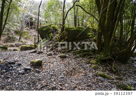 八谷溪谷 39112397