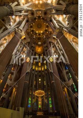 サグラダ・ファミリア　大聖堂の天井 39112604